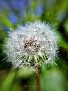 Живая природа