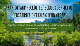 Познакомься с органикой