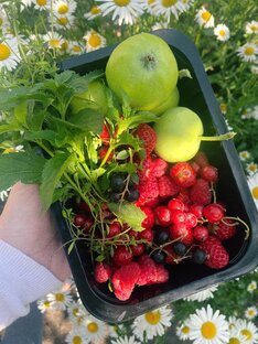 Лето 🌸🌿☀️🌈