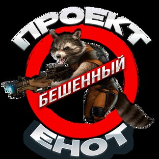 Проект бешенный Енот. 