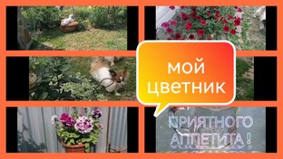 Влоги