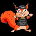 БелкаТопы и Подборки