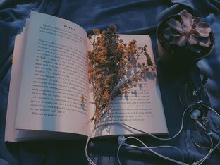 Мои книги 🌺