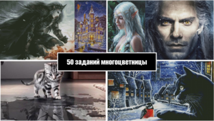50 заданий многоцветницы