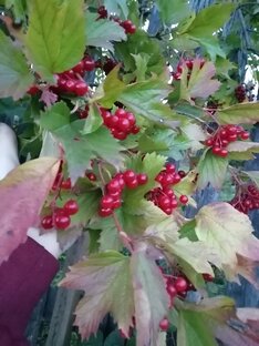 Делюсь Жизнью