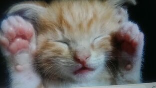 Кто и что магичит+бумеранги и откаты врагам