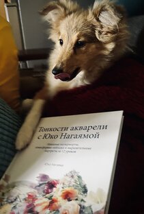 ПОЛЕЗНЯШКА