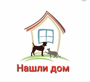 Приветы из дома 