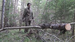РЫБАЛКА - КРАСНАЯ СКАЛА 15 в Девственной тайге по частям ПОЛНОСТЬЮ Последователь