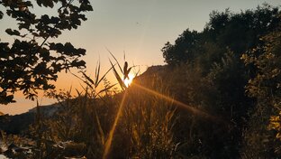 Расклады на заказ