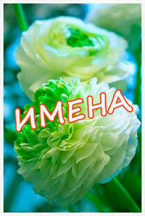 Имена Поздравления