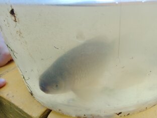Рыбалка