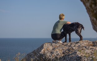 В лето - с собаками