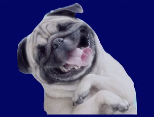 Анекдот дня 