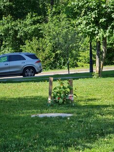 Территория и объекты инфраструктуры