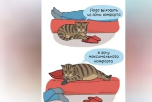 Зона вашего некомфорта