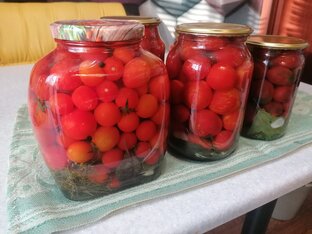 КОНСЕРВАЦИЯ