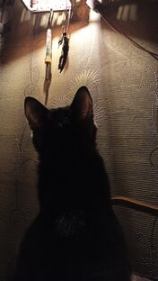 Почему магия - это вовсе не магия