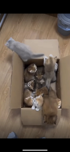 Коробочка счастья🤗❤️