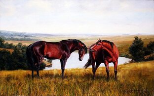 В мире животных