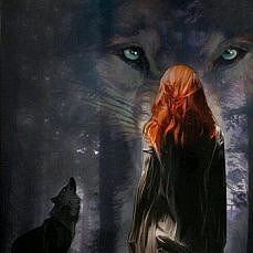 ИСТОРИЯ ИНГВАРА УЛЬФА МЕЧА И ХЕНИИ ДЕ ФУЭГО.