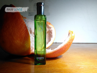 Лучшие статьи