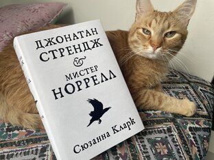 Необычные, но очень интересные книги