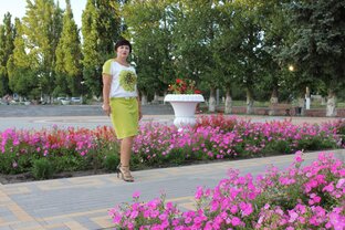 Путешествия