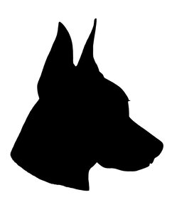 Наши пёсики