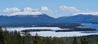 Мысли вслух 