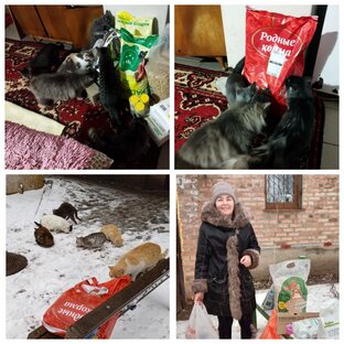 Помощь животным Донбасса