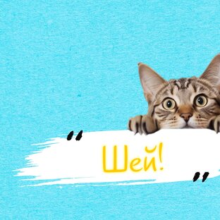 Дела шитейские