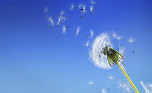 Озвученные стихотворения.