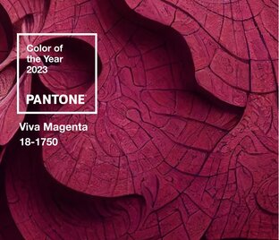 Главный цвет 2023 года по версии Pantone