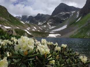 Арзых, Карачаево-Черкессия