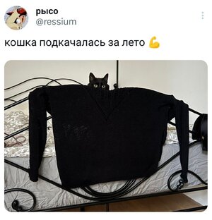«Дайте мне сапоги для солидности…Ваш Маркиз Карабас