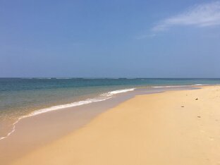 Путешествия