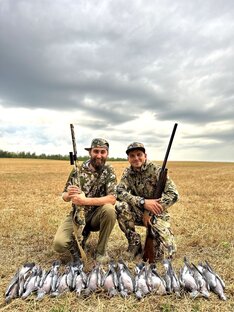 Сезон в разгаре.🎯🕊️🕊️ 