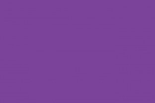 Тренды. Новости. Лайф