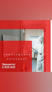 Уничтожение тараканов Красноярск