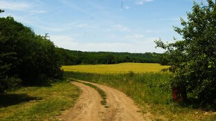 Активные маршруты