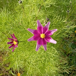 Прекрасное рядом