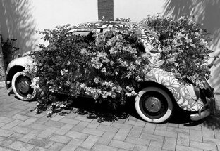 Про жизнь, мечты, желания, психоанализ и всяко-разное