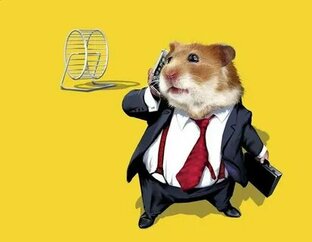 Мой портфель - моя гордость 