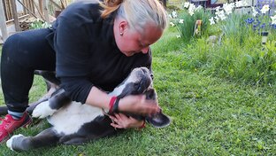 Команды, жесты, трюки