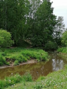 Парки городские