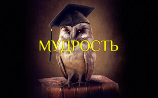 Мудрость