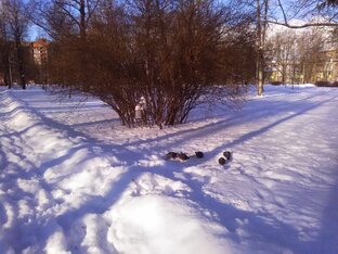 любимые песни СССР