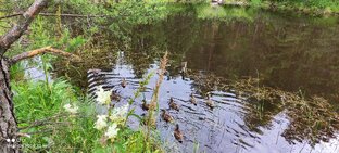 Походы и приключения.