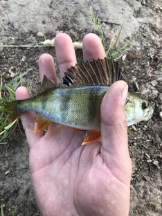 Ну хоть что-то))))